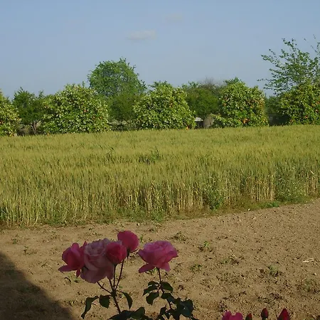 Botanik Side