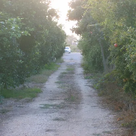 Botanik Ξενοδοχείο 3*