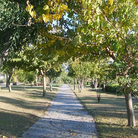 Botanik 3* Σιντέ